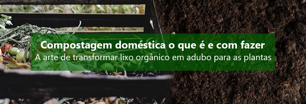 Compostagem doméstica o que é e com fazer