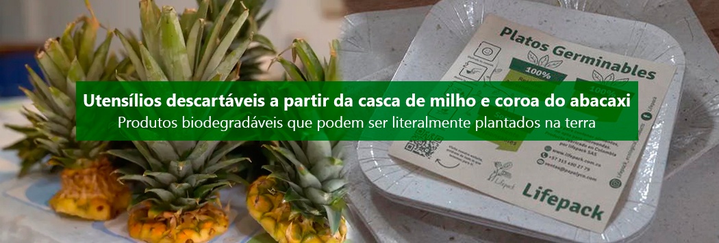 Utensílios descartáveis a partir da casca de milho e coroa do abacaxi