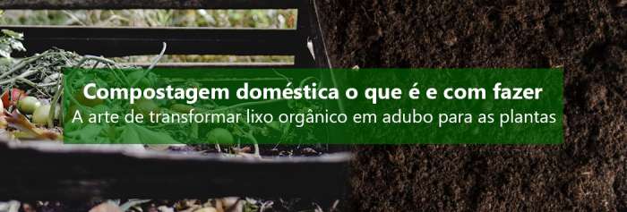 Compostagem doméstica o que é e com fazer